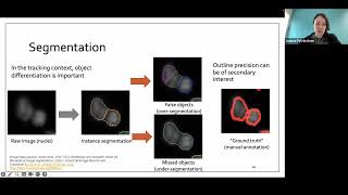 Object tracking and track analysis using TrackMate and CellTracksColab