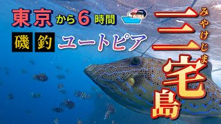 三宅島に、でっかいの釣りに行ってきた！