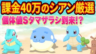 ポケスリガチ勢がシアンの砂浜で本気でタマザラシ厳選した結果がヤバすぎた【ポケモンスリープ】【Pokémon Sleep】