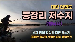 제30편_ 안면도 중장리 저수지 밤낚시