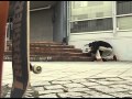 BOA SIW - Teaser #1