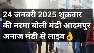 24 जनवरी 2025 शुक्रवार की नरमा बोली मंडी आदमपुर अनाज मंडी से लाइव👌