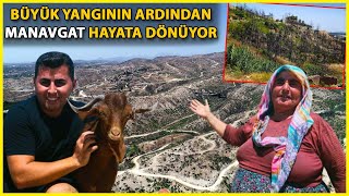 Manavgat, Büyük Yangının Birinci Yılında Hayata Dönüyor