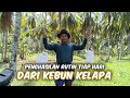 Penghasilan Rutin Tiap Hari Dari Kebun Kelapa Penghasil Nirah Gula Merah