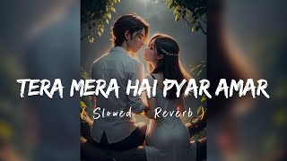 Tera Mera Hai Pyar Amar Ost  - [slowed+reverb] | Ishq Murshid | The Singing SouL