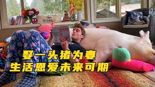 国外小伙爱上一头猪，还娶它当作老婆，生活恩爱未来可期