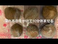 【簡単パンレシピ】コーヒーパンのレシピ