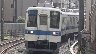 【ラスト1編成 池袋口8000系 幕車 快速運用】東武東上線 ワンマンを除く8000系 全14両撮影　2014年11月02日現在