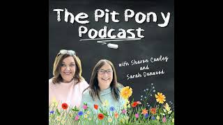 022 - Pit Pony Gareth Isaac - Classroom to Mindfulness Teacher