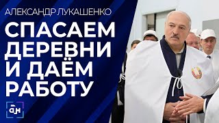 Лукашенко: тема урока — дальнейшая модернизация сельского хозяйства