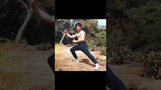 Bruce Lee martial arts training