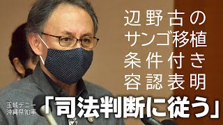 辺野古のサンゴ移植　知事が条件付き容認表明「司法判断に従う」