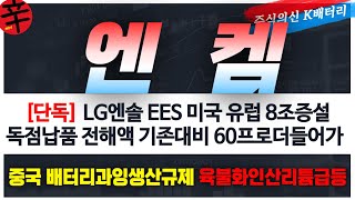 [엔켐 주가전망] '단독' LG에너지솔루션 미국 유럽 8조 증설 최대수혜주 중국 육불화인산리튬 규제 유일한 대안