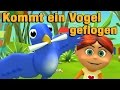 Kommt ein Vogel geflogen | Kinderlieder zum Mitsingen | Jippiedoo