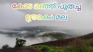 ഊരകം മല കയറി വരുന്ന മൂടൽമഞ്ഞ് | Fog in mini otty | vibes foggy mountain