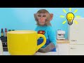 monkey baby bon bon eats colorful pasta and swims with the puppy in the pool bobby kids tv