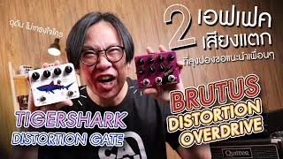 Calineเอฟเฟคเสียงแตกตัวเดียวมี 2เสียง|Caline-DCP02 DISTORTION OVERDRIVE|Caline-DCP09 DISTORTION GATE