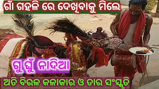 ଗାଁ ଗହଳି ରେ ଦେଖିବାକୁ ମିଲିଥାଏ ଅତି ବିରଳ କଳାକାର ଓ  ତାର ସଂସ୍କୃତି ଗୁ ଘୁଁ ନାଦିଆ ।