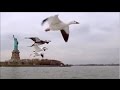 Compass - Thomas Bergersen (epic,uplifting)
