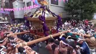 平成２５年 文京区 白山神社 大祭 本社神輿渡御 五年ぶりの本社御輿 。