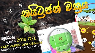 Nitrogen-Cycle Explained 2019 O/L Science M.C.Q Past-papers Part 02 Sinhala | සිංහල