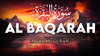 Surah Al Baqarah Full (سورة البقره) HEART TOUCHING RECITATION - AHMAD AL SHALABI - DANISH TV