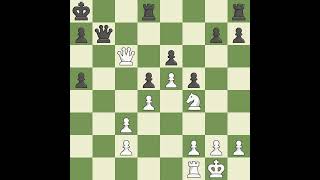 White Judit Polgar, Black Michael Adams,French Defense: Winawer, Advance, Petrosian Variation, 5.a3