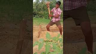 #raithu #villagelife #farmlife #వ్యవసాయం #రైతు #రైతు బిడ్డ వ్యవసాయం 🌾🌾🌾🌾🌾🌾🌾🌾🌾🌾🌾🌾🌾🌾🌾🌾🌾🌾🌾🌾🌾🌾