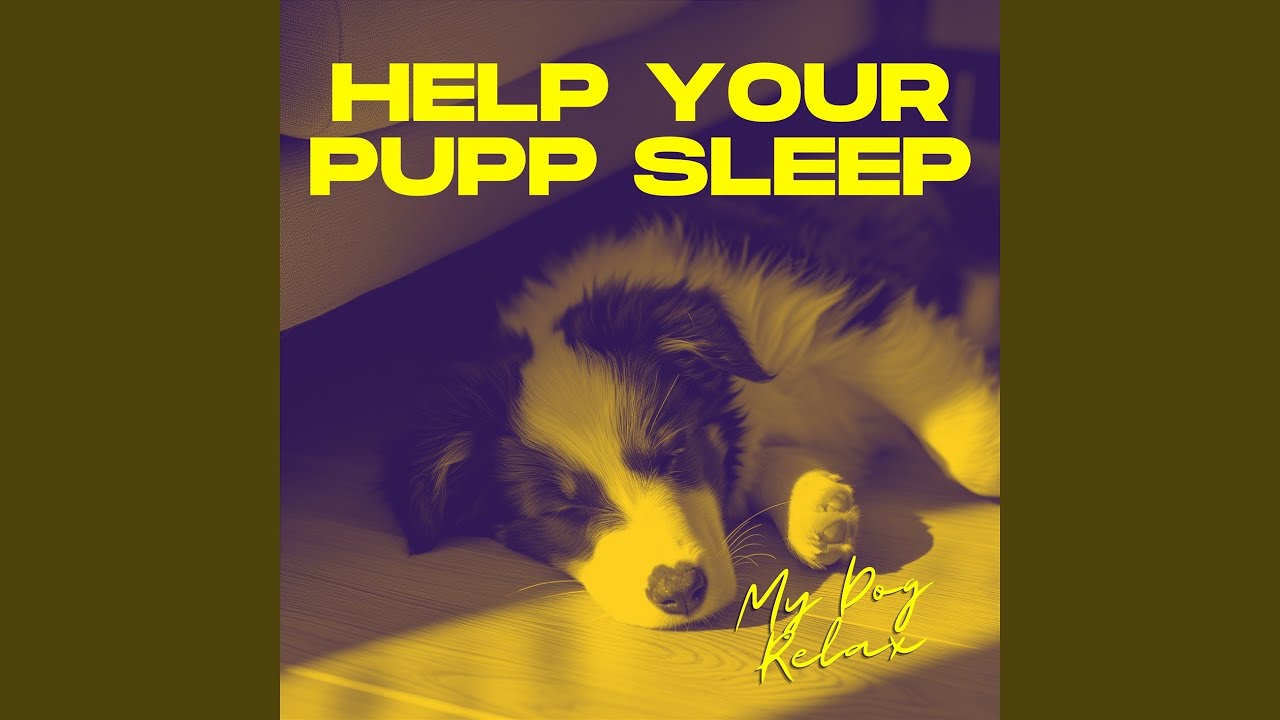 Puppy Bedtime Youtube