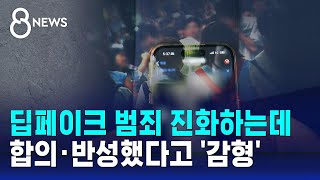 딥페이크 범죄 진화하는데…못 따라가는 법 / SBS 8뉴스