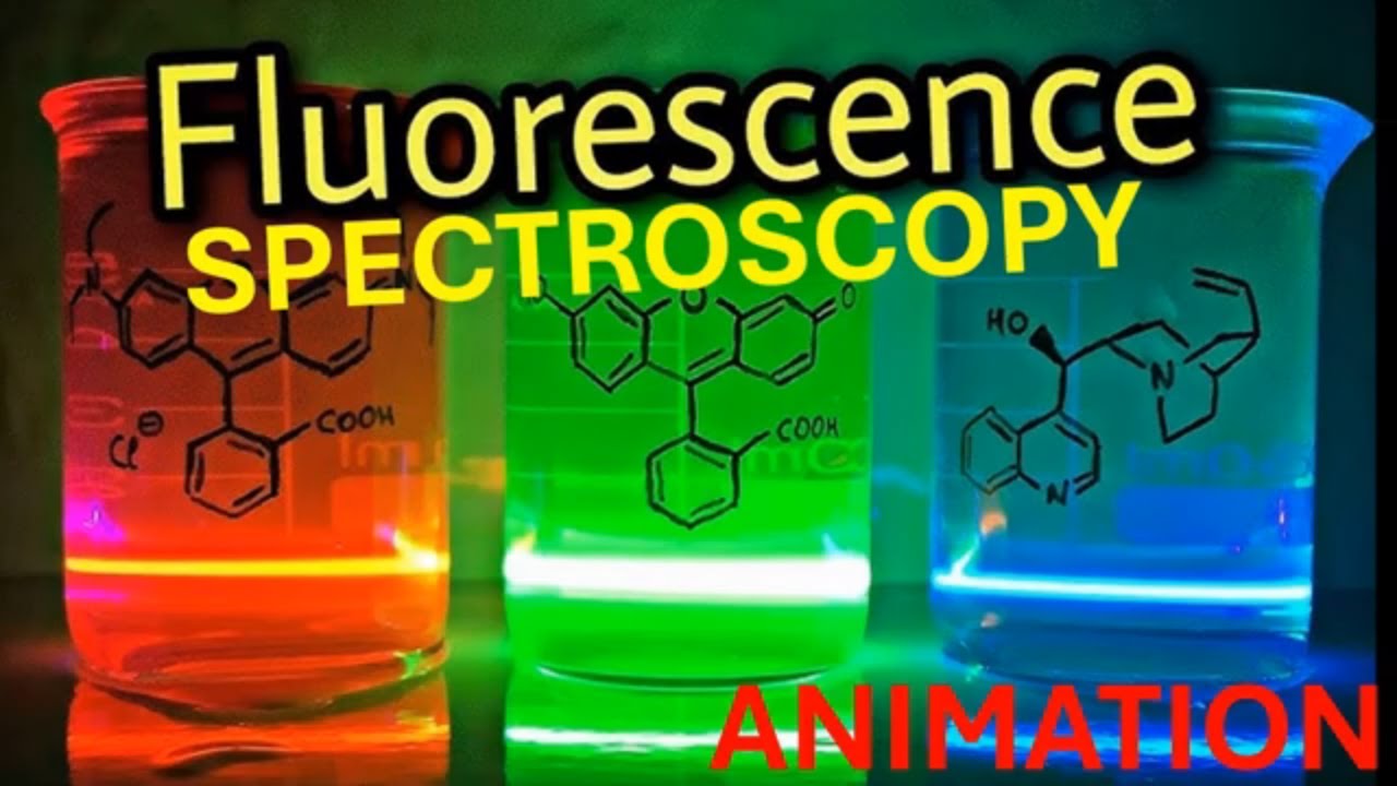 Fluorescence Spectroscopy Explained With Animation Easy To Understand