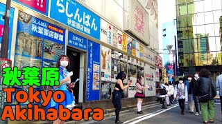 TokyoWalk-秋葉原歩き-週末歩行者天国の日- Akihabara walk-2021.10.24(Sunday)