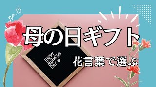 ⺟の⽇に送る花はどれがいい？花言葉で選ぶ母の日ギフト【カーネーション】