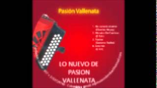 PASIÓN VALLENATA - NO CONOCÍA EL AMOR  (AUDIO OFICIAL)