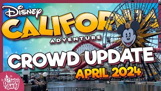 How CROWDED is Disney California Adventure in April 2024? | Wait Times & More