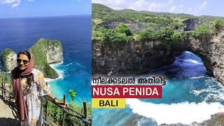 ഒരു ബാലി യാത്ര | Bali Indonesia Travel | Nusa Penida Island | Kelingking Beach| Trippofly Holidays