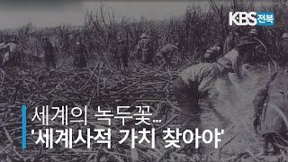 동학기획⑦ 세계 속의 녹두꽃.. '세계사적 가치 찾아야' 2019.05.11(토)