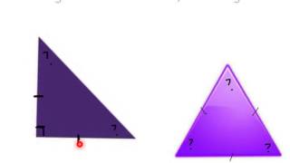 Classifying Triangles