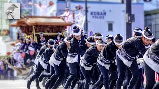 【だんじり2024】鳳だんじり祭り①地車賛否両論なんか遥か彼方に吹き飛ばせ！青年団と１８歳未満女子のアツく華麗な力走が大阪泉州の地域安寧をかなえるDanjiri Festival Sakai city