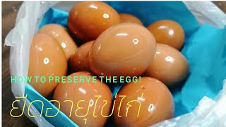 [วิธีเก็บรักษาไข่ไก่​]​ วิธีเก็บไข่ไก่​ไม่ต้องล้าง ไม่ต้องแช่ตู้เย็น​ ให้อยู่ได้นาน ep2|แค่เลchannel