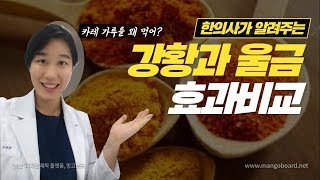 카레에 들어간다는 강황과 울금,  왜 먹는거에요