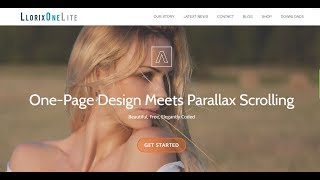 Llorix One WordPress Theme Tutorial 1