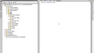 SQL Server 2005 online training Video Tutorial lesson 6 2