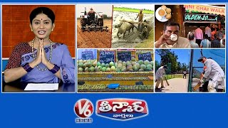 Farmers-Monsoon Cultivation | Irani Chai-Hyderabad | Varieties Of Mango Selling | Old Man-Cricket|V6