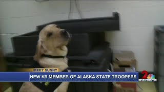 Alaska State Troopers welcome new recruit — say hi to Sunny!