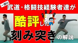 （一部の）武道･格闘技経験者達が酷評した〈川嶋佑の刻み突き〉を川嶋佑が解説