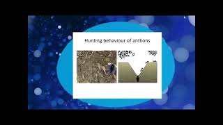 Automatic generation control of a multi-area system using ant lion optimizer algorithm