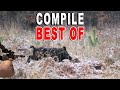 COMPILE BEST OF WILD BOAR HUNTING