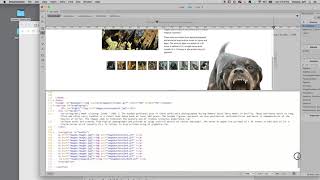 Javascript Lightbox 2 demo