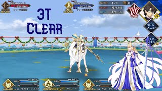 [FGO JP] Archetype: Earth vs Dioscuri - CQ 3T Clear | Christmas 2020 Re-run